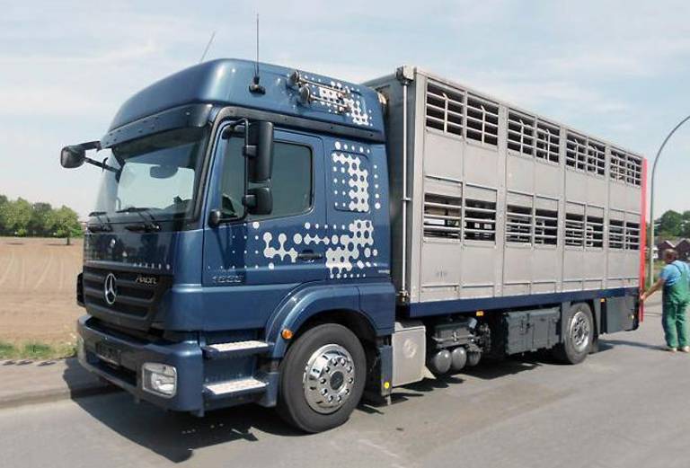 Отвезти быка автотранспортом из  в Киргизия, Бишкек